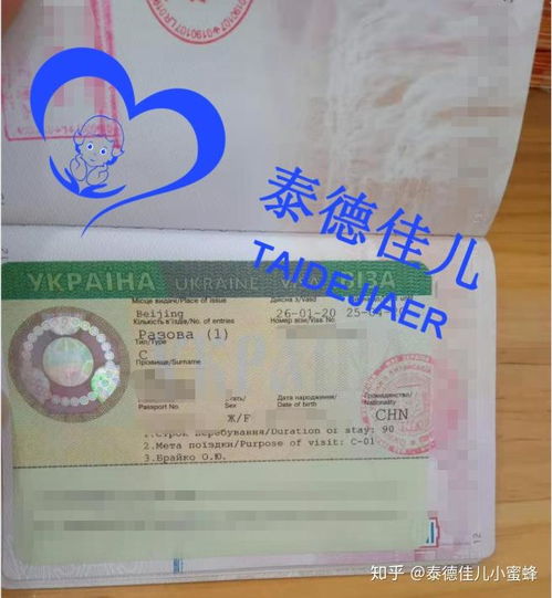 烏克蘭簽證辦理指南 試管醫療簽證、落地簽政策與代辦服務解析